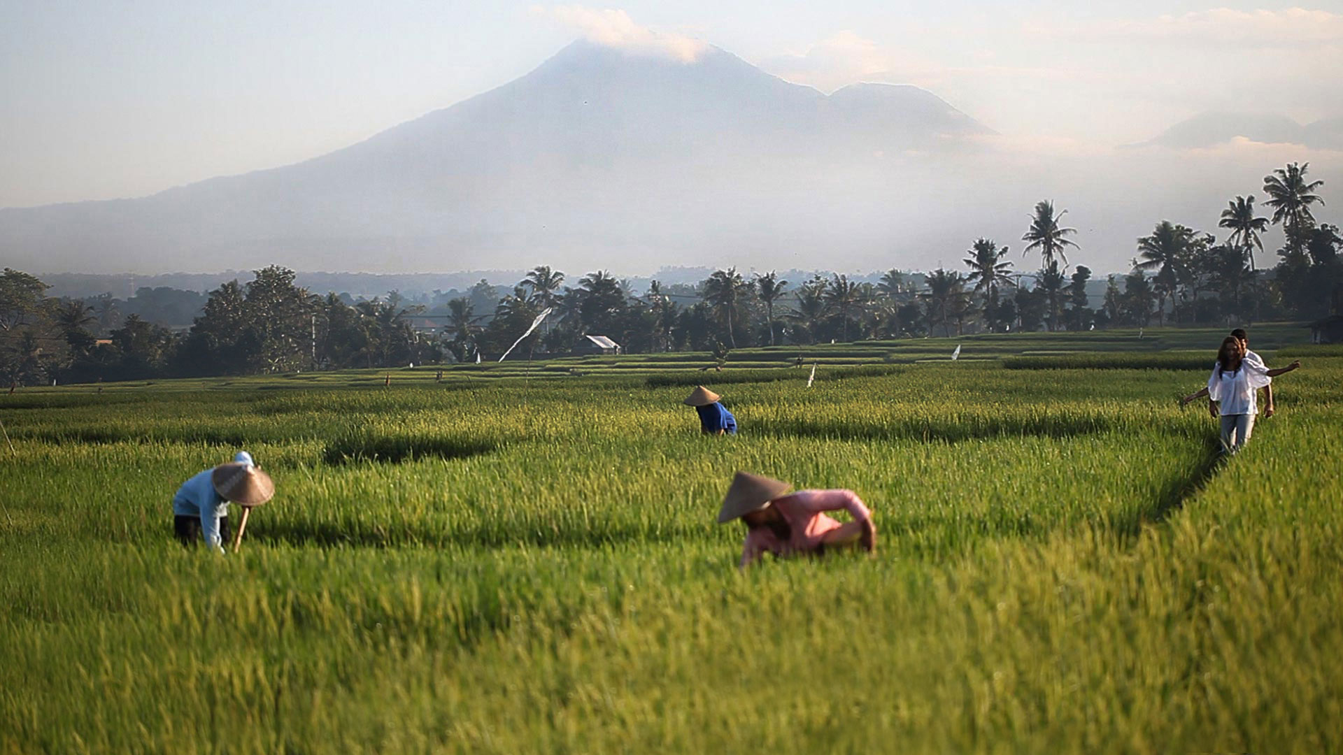 近在咫尺的巴图克鲁火山和稻田
