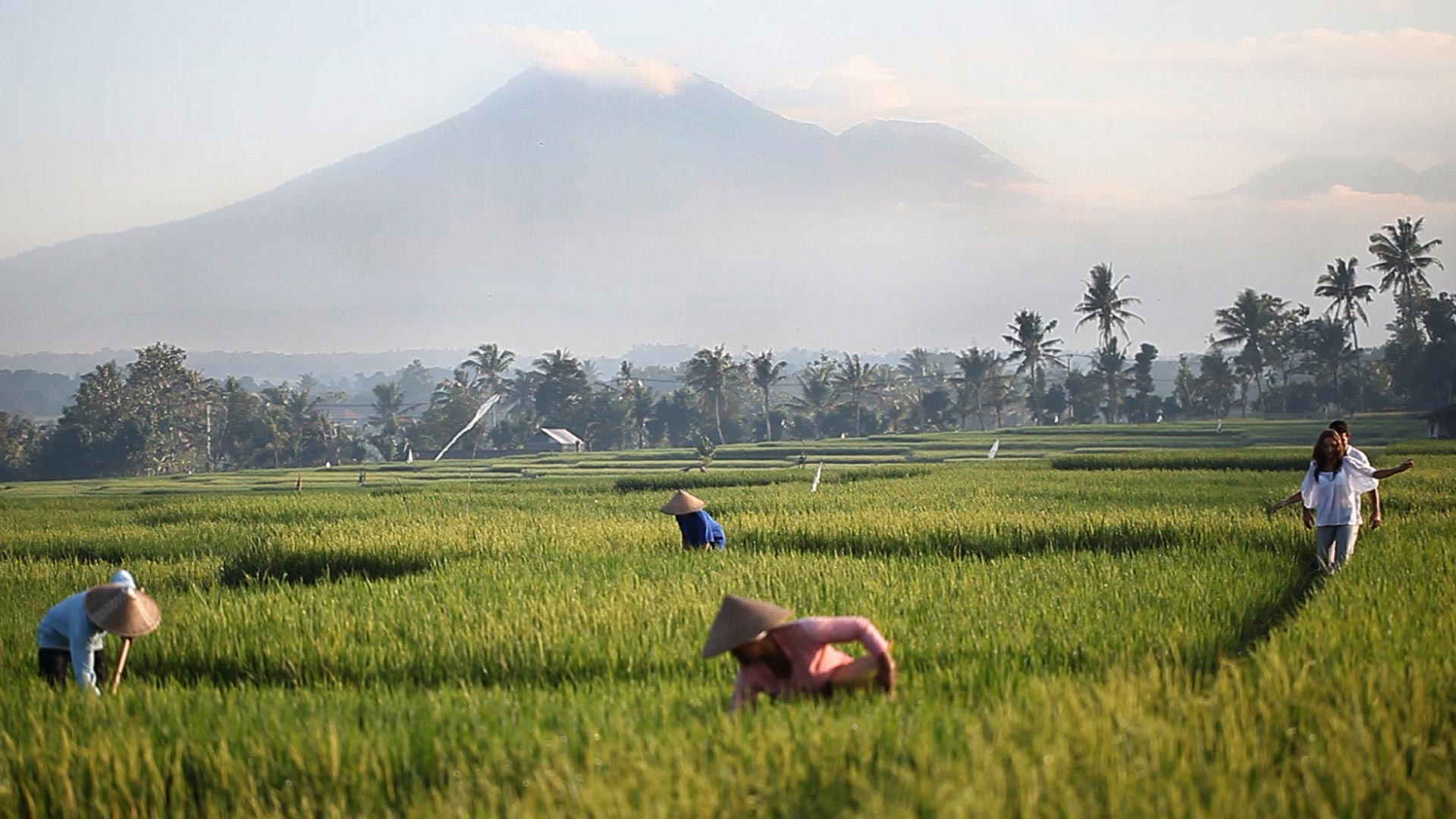 Tabanan Regency of Bali, a UNESCO World Heritage Centre