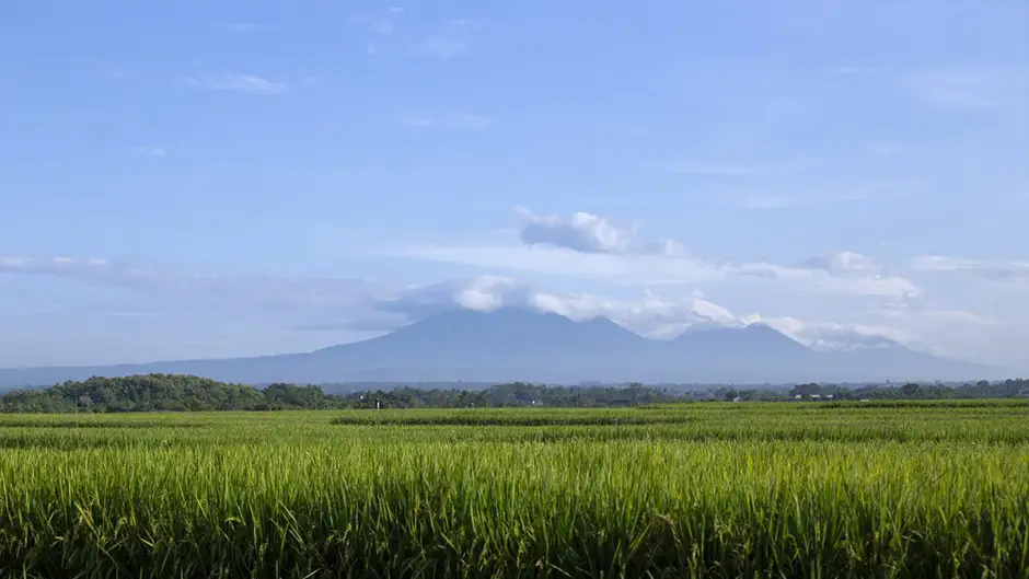 The landscape and architecture of Soori Bali